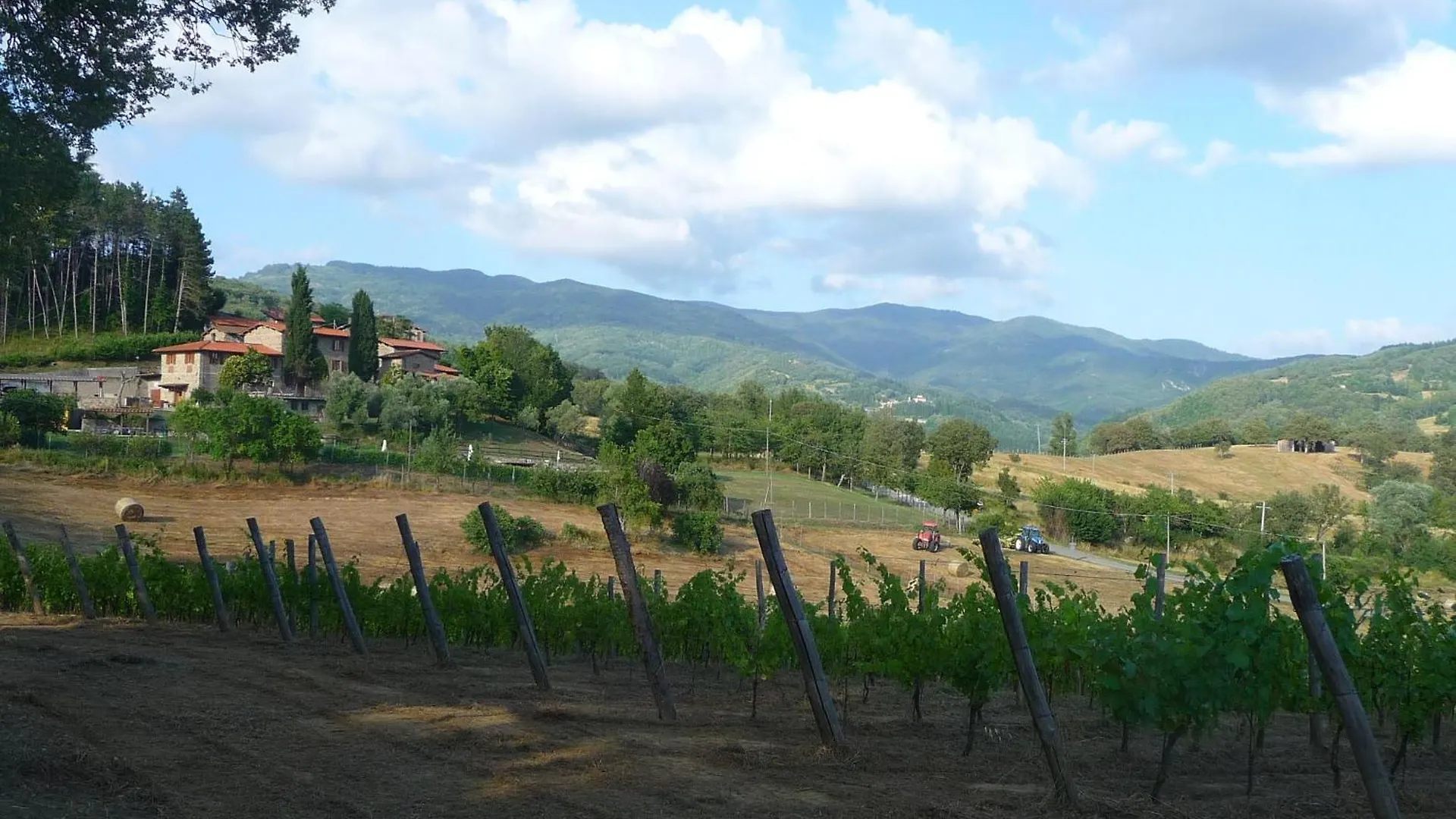 Agriturismo In Der Toskana Mit Garten Und Pool Villa Pratovecchio 0*,  Italy