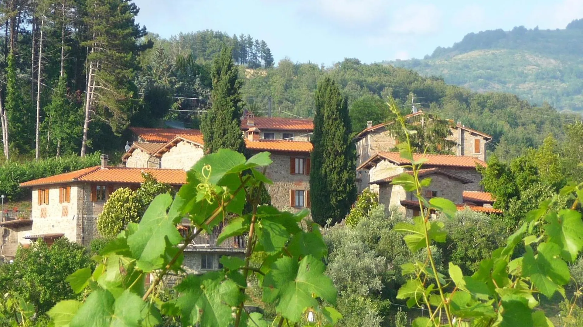 Holiday home Agriturismo In Der Toskana Mit Garten Und Pool Villa Pratovecchio Italy