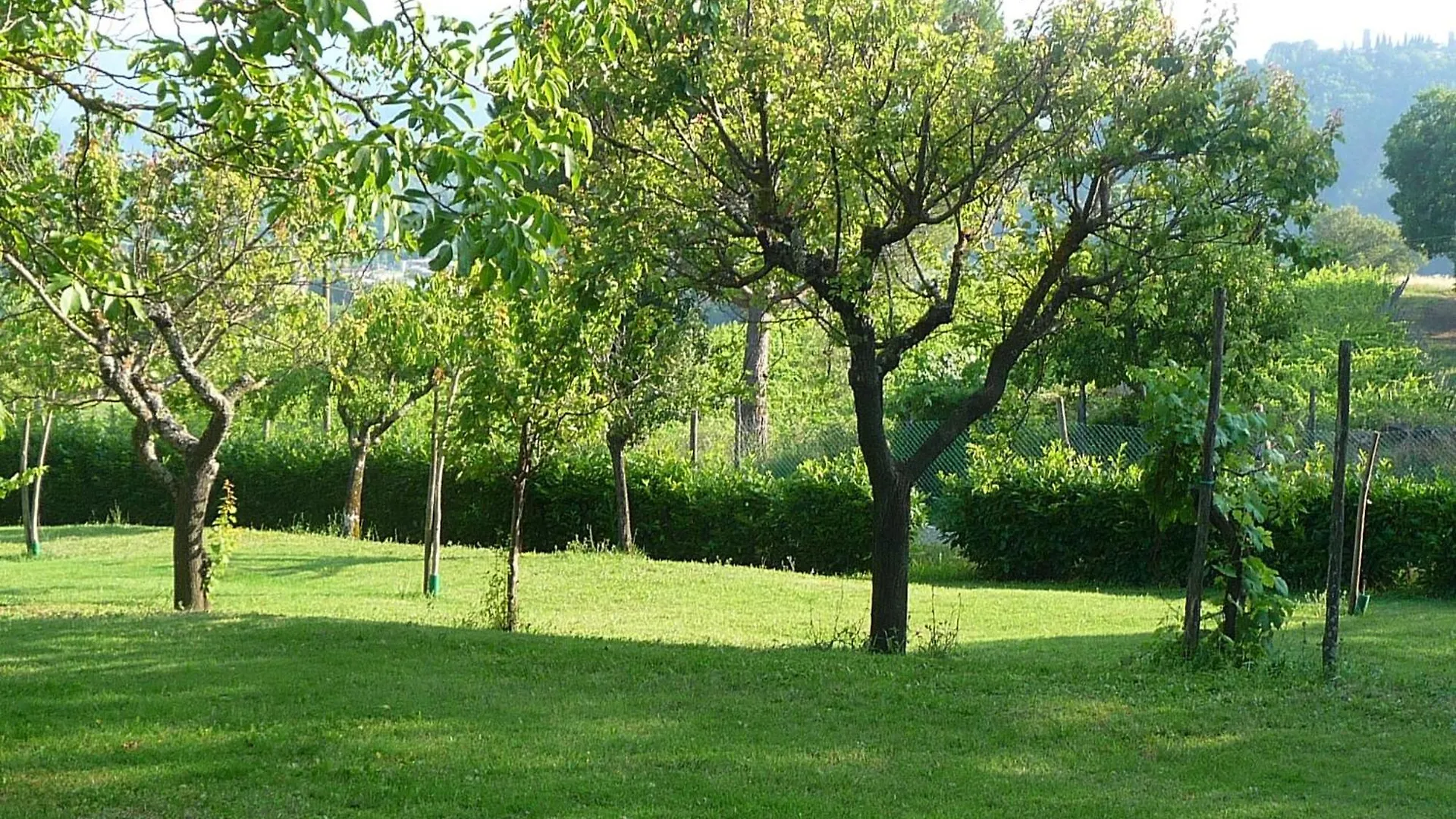 Agriturismo In Der Toskana Mit Garten Und Pool Villa Pratovecchio 0*,  Italy